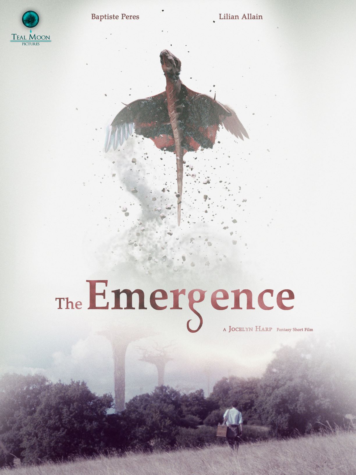 The Emergence